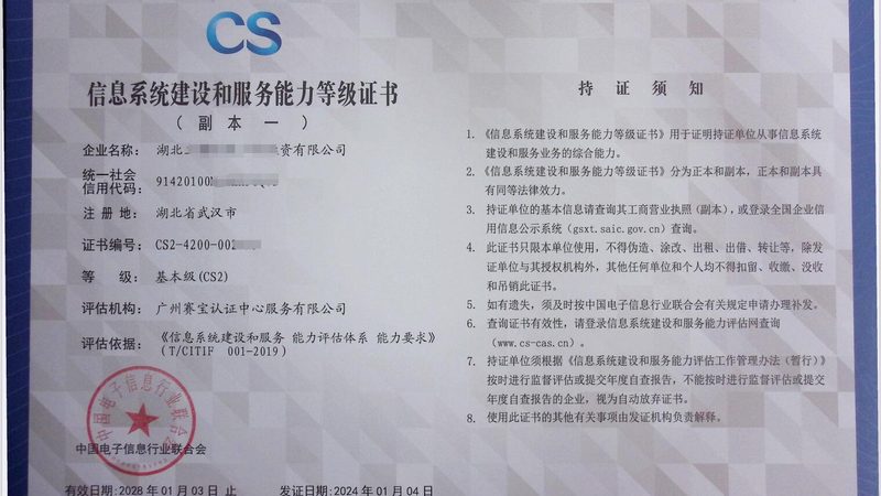 企业IT咨询，资质要求背后的考量因素